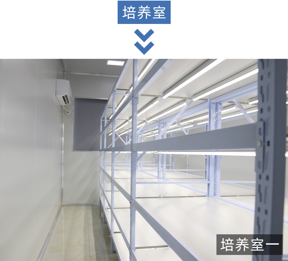 紹興規(guī)劃案例_09.jpg