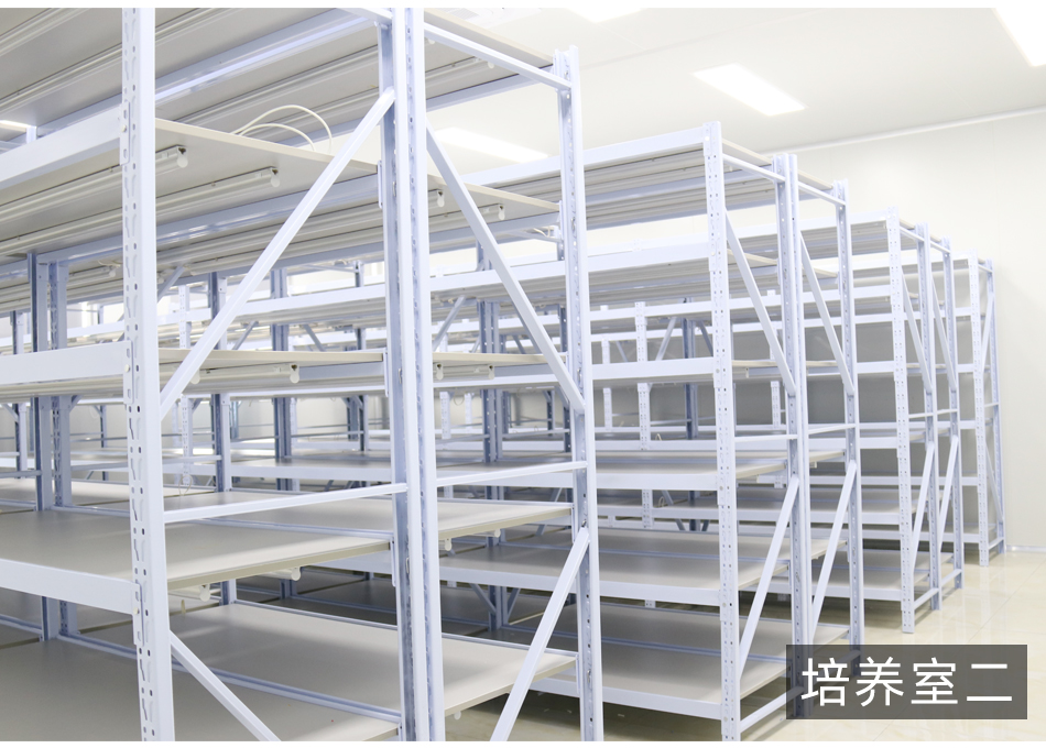 紹興規(guī)劃案例_10.jpg
