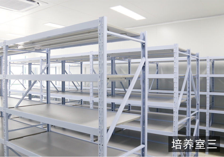 紹興規(guī)劃案例_11.jpg