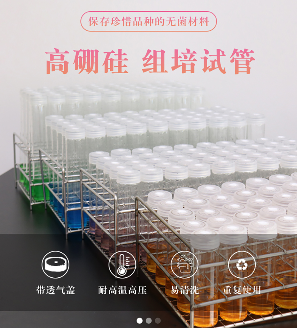 組培試管_01.jpg