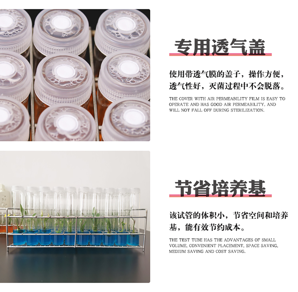 組培試管_08.jpg