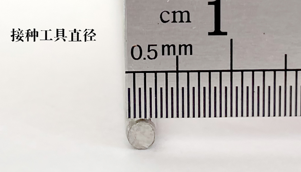 接種工具_(dá)05.jpg