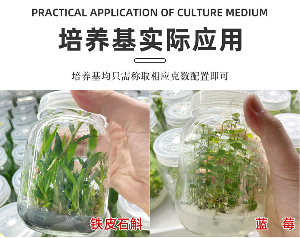 培養(yǎng)基詳情頁_13.jpg