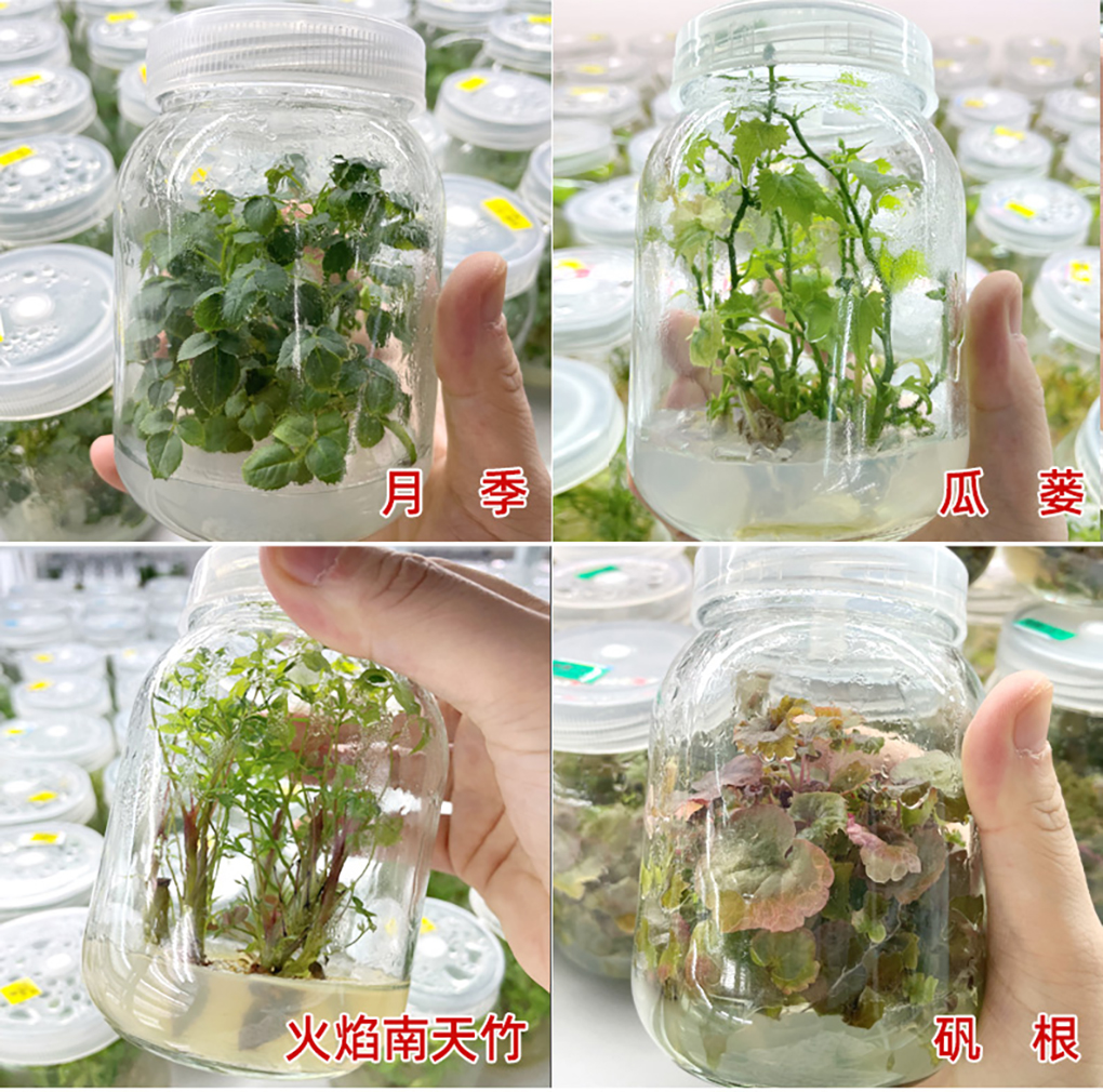 培養(yǎng)基詳情頁_14.jpg