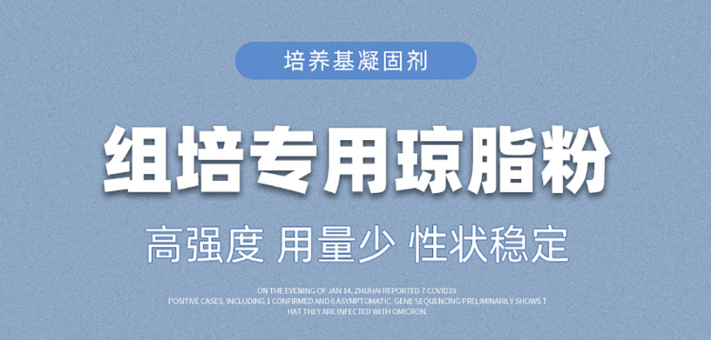 瓊脂粉_01.jpg