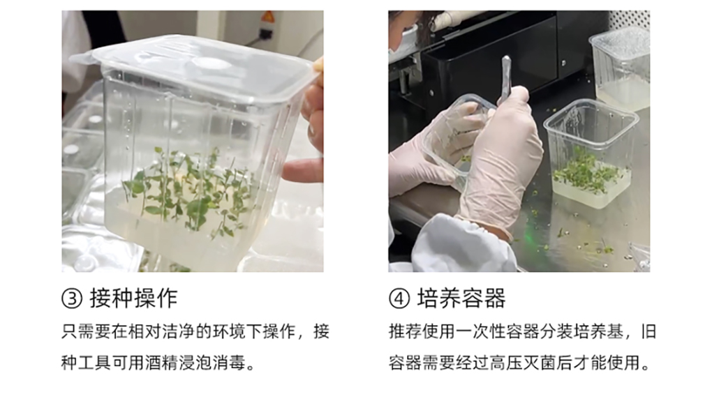 植培凈詳情頁_06.jpg
