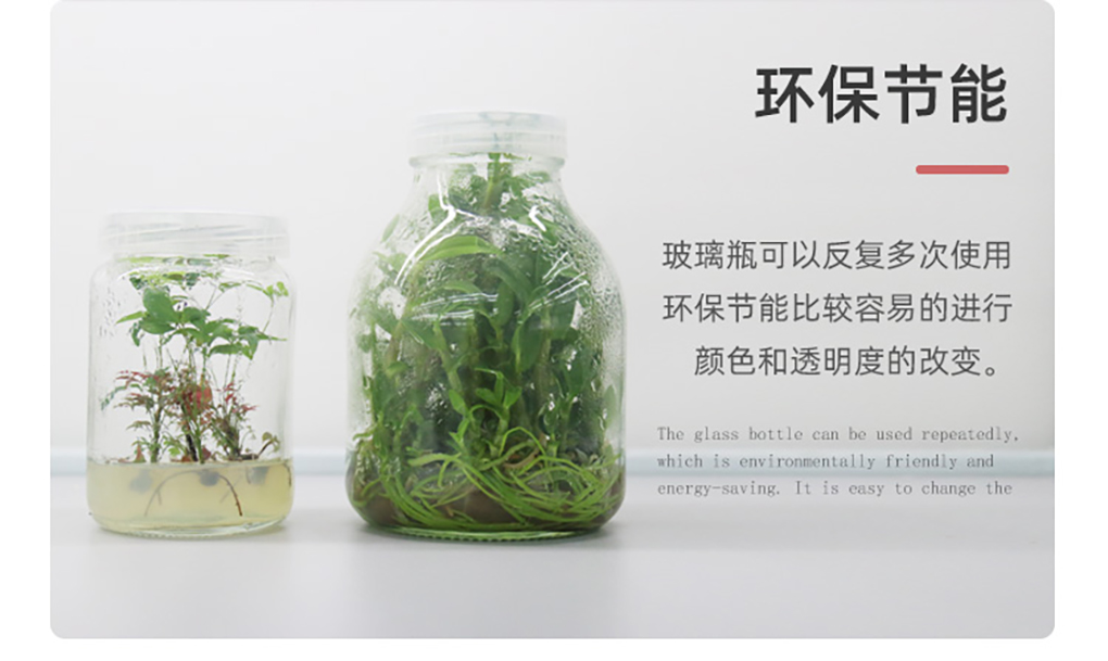 玻璃組培瓶_08.jpg